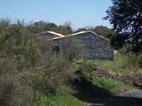 nte Cicirello-10042012 096